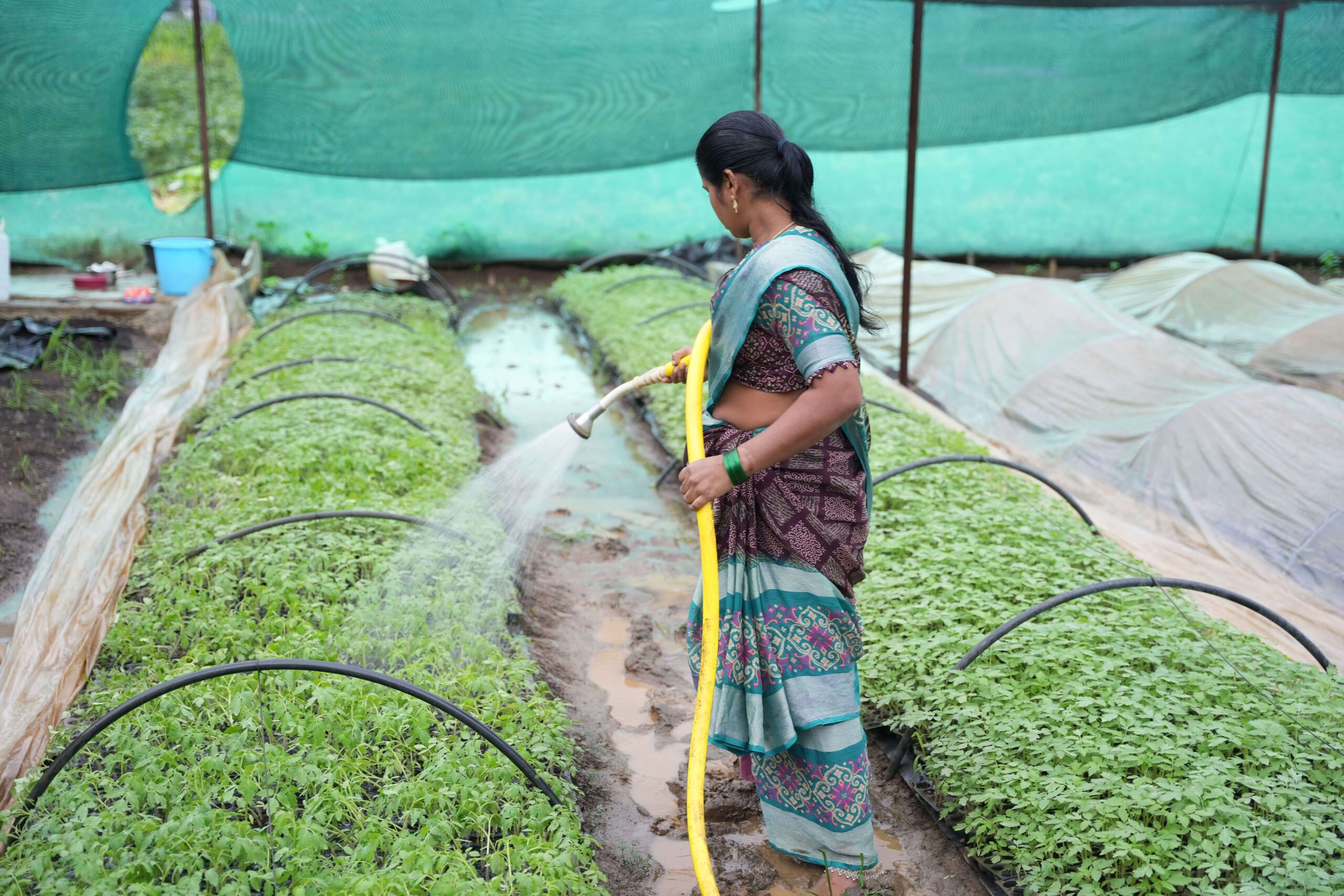 Landscaping and gardening service